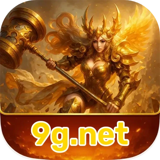 9g.net VIP